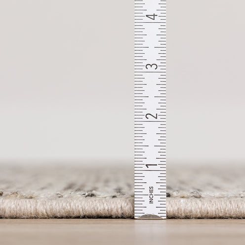 Arcata Ebony 5x8 Rug